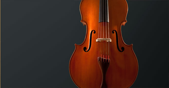 Michael Donatin: Geigenbaumeister